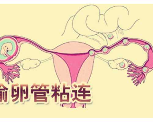 香港验血怎么算孕周_为什么香港验血不可以男的碰血管_验血女孩竟然翻盘!