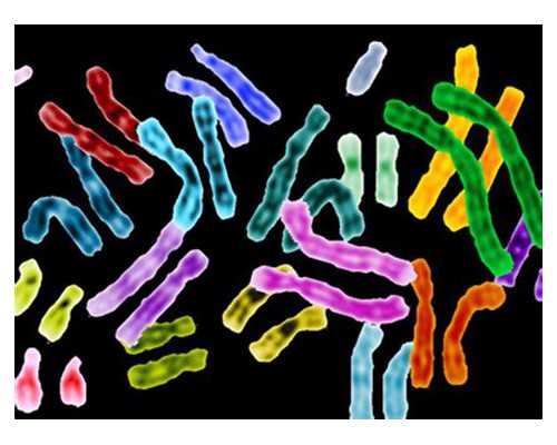 香港验血测女孩准吗_香港男女验血_香港验血需要几天时间!