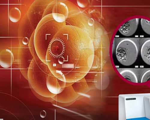 现代泵技术手册高清_学者王中秀今晨辞世，“冷板凳”研究黄宾虹数十年