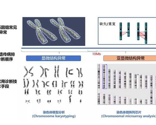 香港验血寄血样流程_香港验血当天可以知道结果吗_性别鉴定多少钱？