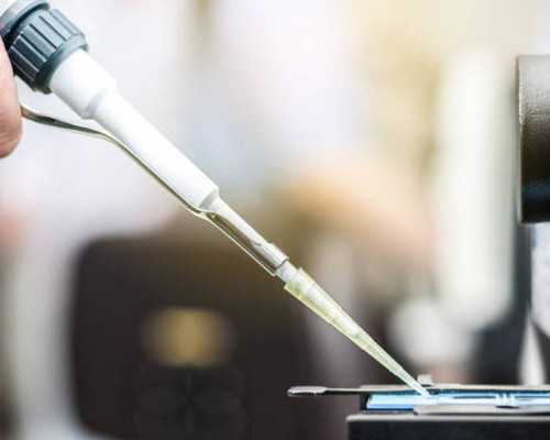 寄血去香港验血男孩生了女孩_香港验血报告出来女宝_我来告诉你为什么这么准