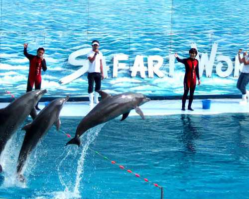 香港验血鉴定男女中介准吗_香港dna验血报告准不准_进来看看就知道了!