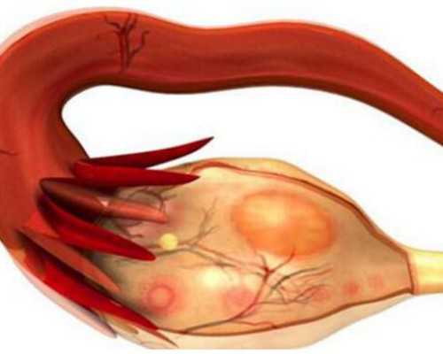 怎么打香港验血电话_香港验血测男女骗不骗人的准不准_验血的流程和手续如何