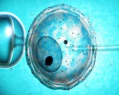 微信上香港验血生男女是真的吗_高效的验血测性别中心准确率高