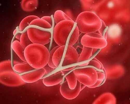 香港验血胎儿 怀多久才知_达雅高官网帐号是多少,验血具体流程,看完你还做吗