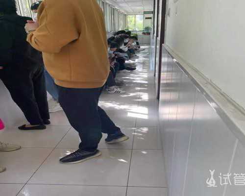 香港胎儿性别验血准么_香港验血测男女有不准的吗_哪个机构最权威