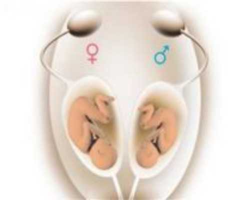 三一砼泵车新车价格_志愿者画《志愿者》——《向疫而行》创作札记