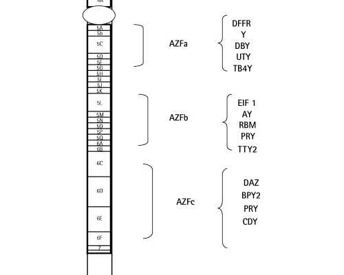 蠕动泵的工作原理视频_文武之道一张一弛——曹文武篆刻漫评