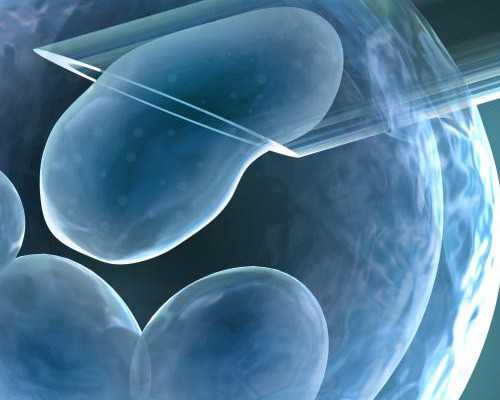 邮寄香港验血中介可靠吗_香港验血检测是否需要提前预约？需要满足哪些条件