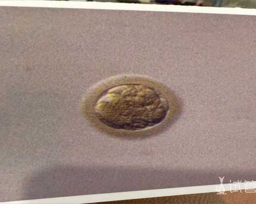 香港验血怎么确定6周和7周_香港正规老牌查胎儿男女的机构_dna胎儿性别邮寄准