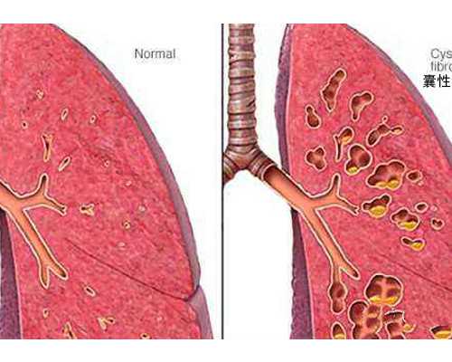 香港验血星期天可以吗_怎么去香港b超查男女_验血查性别是不是骗人的!