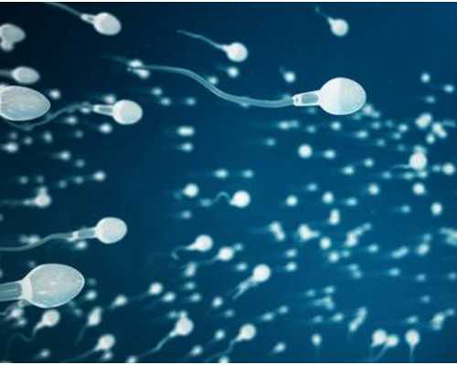 香港化验血判断男女准吗_acgt基因化验所生女_去香港抽血测男女可不可靠