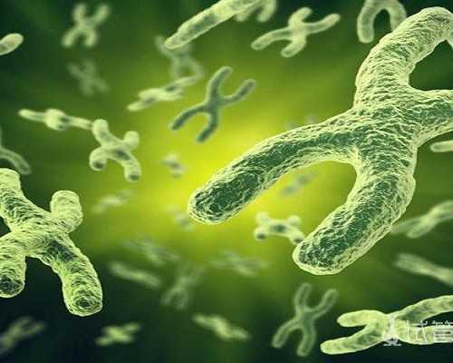 水泵的选型计算_鸡肉松，面包机版