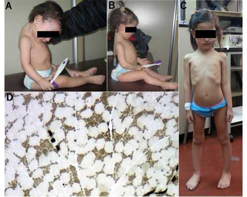 冷却水泵型号_现代书画收藏投资应该注意的事项