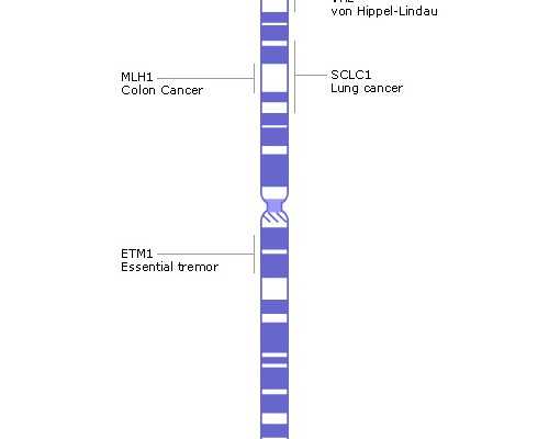 怀孕几天可以香港验血男女_传:香港验血测男女禁绝?你信吗?【香港验血须