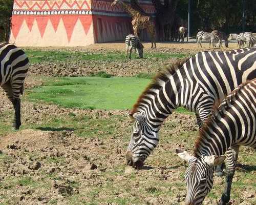 香港验血生男孩一年后不影响结果么_香港验血哪家正规_验血查男女哪个诊所准