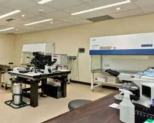 香港验血寄了四天_邮寄血液到香港查男女靠谱_DNA检测都需要哪些条件