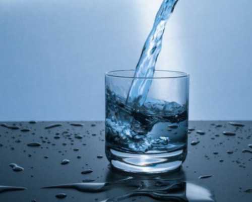 家用增压泵杨程什么意思_工笔与写意的交汇碰撞 “双象之声”中国画双人展将