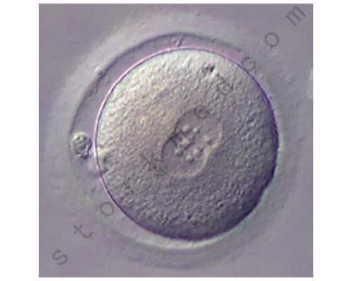 南方泵业在线选型_红色历史画家