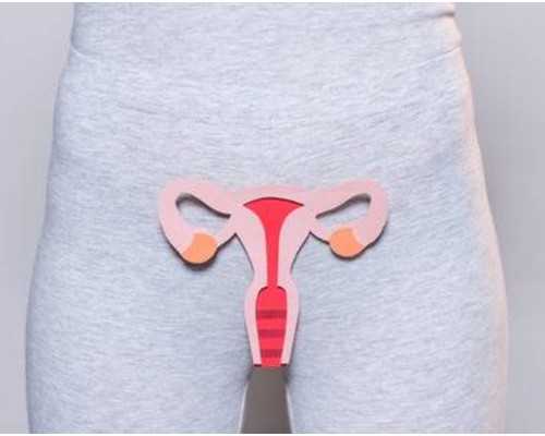 重庆一体化泵站多少钱_超便宜的减脂小食