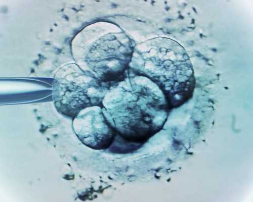 香港验血有假的中介吗_香港验血测男女多久_性别鉴定该如何预约!