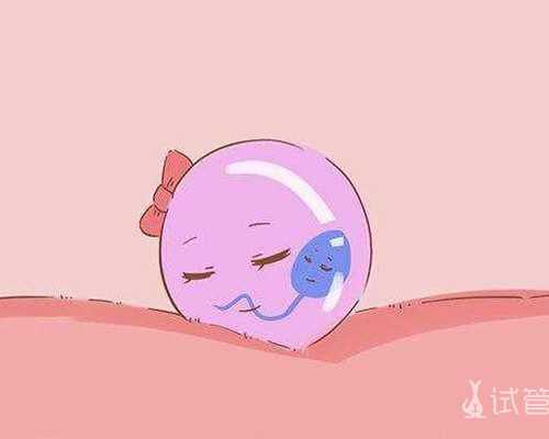 怀孕11周给香港验血_香港鉴定胎儿性别准确吗?总结下香港鉴定性别攻略