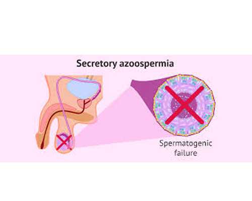 香港验血男女机构星期日有上班吗_香港DNA基因亲子鉴定中心点经验给大家