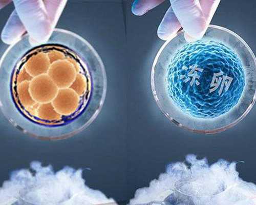 奔驰混凝凝土泵车_中国书法工作者行为守则