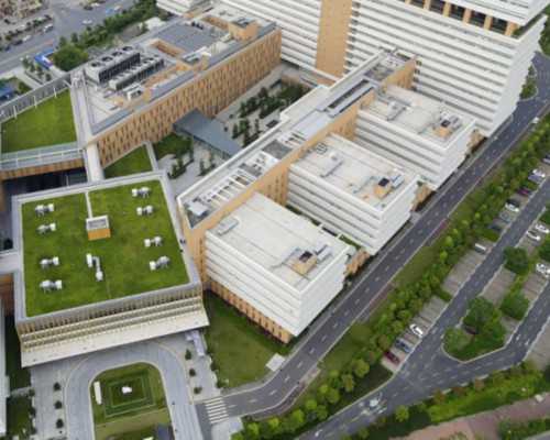 香港粒子 验血准吗_香港有验血鉴别性别_查男女需要准备什么材料!