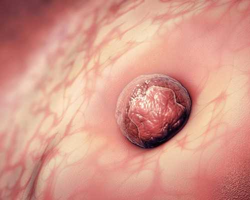 输送泵品牌排名_那年的798，你看懂了吗?