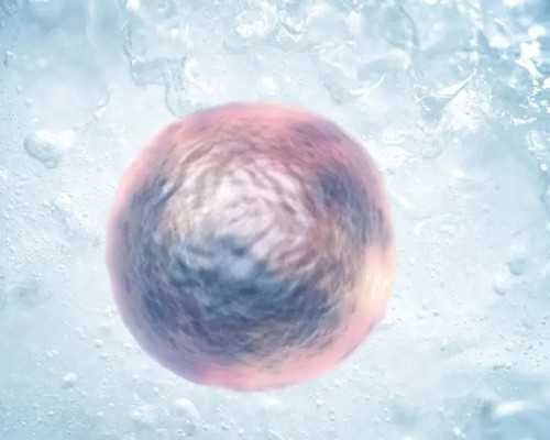 大象泵车遥控器操作视频_黑色食品就都是补肾食品吗?