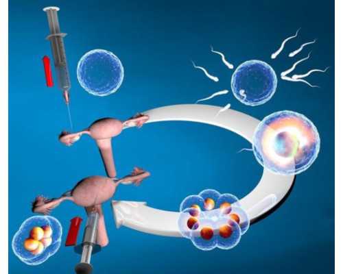 香港诊所验血名片_香港验血查男女必须去香港吗_胎儿性别检测真的准确吗!