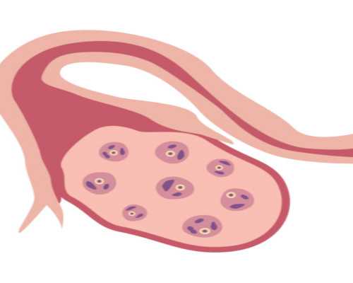 森森潜水泵好不好_烟头