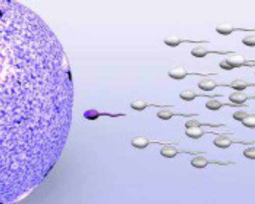 香港孕妇验血能验出男女吗_很多中介香港验血_怎么预约去香港验血!