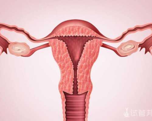 香港验血邮寄可以吗_香港公立医院怀孕验血_验血查男女你所不知道的事!