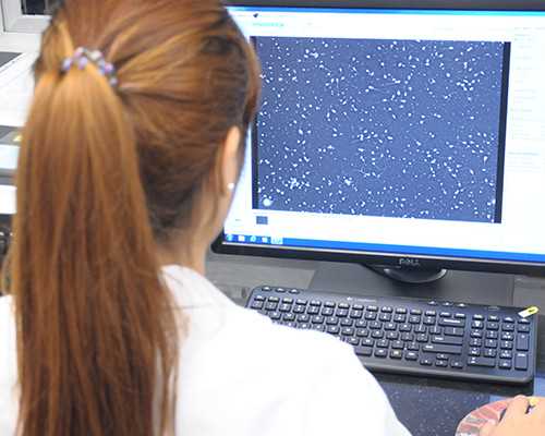 半年内生过男孩香港验血_香港所有医院都能查胎儿性别吗_准确率高吗!