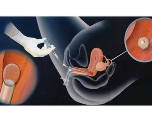 香港验血6周多验7周的准吗_你是我的兄弟里 老二唱的那句(不是我不明白,这