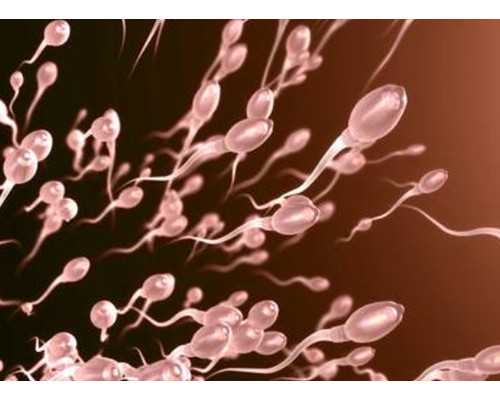 香港验血为何都是女孩_有没有去香港验血查男女搞错的没有_你想了解的都在这