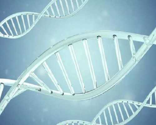 胰岛素泵闭环什么意思_中国画院中国画名家采风团走进藏族汇报展开幕