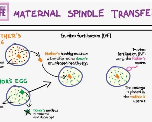 泵道公园_宋代官窑瓷器的鉴定方式和拍卖市场成交记录