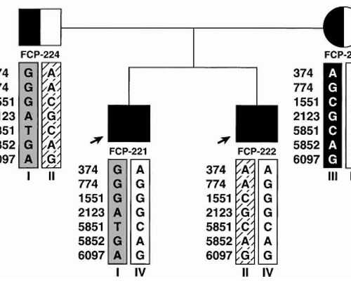 泵机图片_张大千《无量寿佛》亮相鼎天秋拍