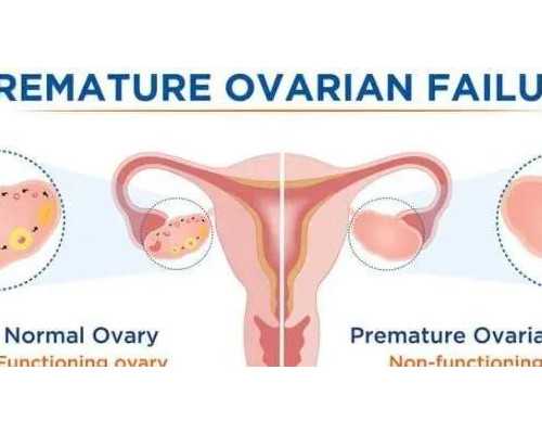 香港验血是不是周数越大越好_<html><body><p>双胎减产后去香港验血男女_去香港验