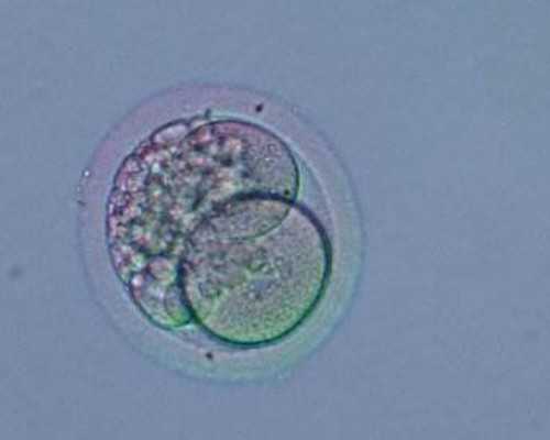 什么泵流量与压力有关系_抽天开象许德民--厥功甚伟三十年