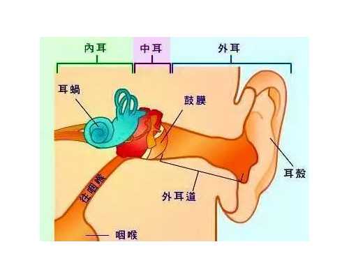 去香港验血会寄报告吗_香港验血准确率高不高问医生_告诉你验血查男女需要多