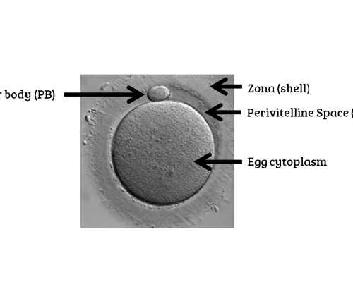 七周香港验血国内会抓吗_2015年我的心情故事作文400字2015年，我的心情故事为题