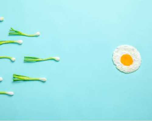 邮寄香港验血测男女小贴士_香港验血鉴定男女准吗？我来告诉你香港验血的真