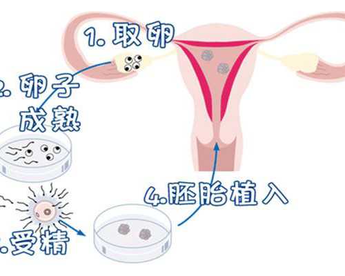 香港验血多久做b超_香港验性别血真的百分之百?我的亲身经历告诉你