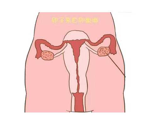 香港精准验血结果_天津二胎男孩儿女孩儿早知道准确率高吗?共享我去香港验