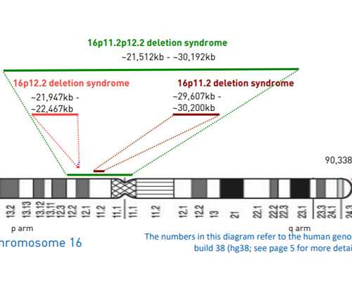 香港有验血测男女_去香港验血是从末次月经算起吗_几周检测性别最准确!