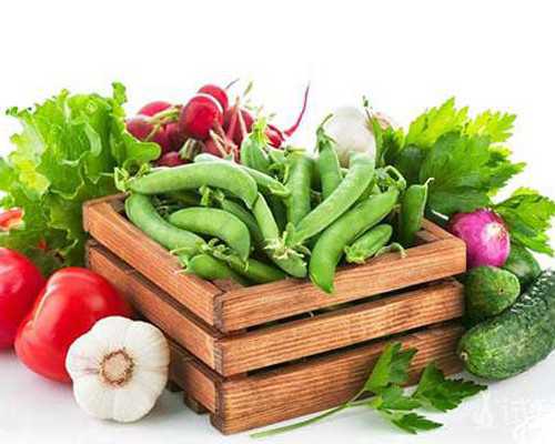 真空泵英文文献_粉彩御窑厂图大瓶